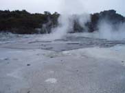 Rotorua - Hells Gate (Mud Pools)